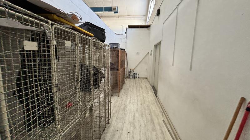 To Let commercial Property for Rent in Maitland Western Cape